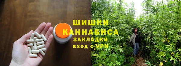 PSILOCYBIN Абаза